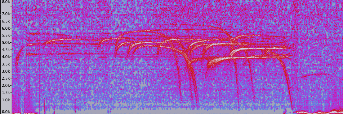 Spectrogram of radar output pointing at motorway